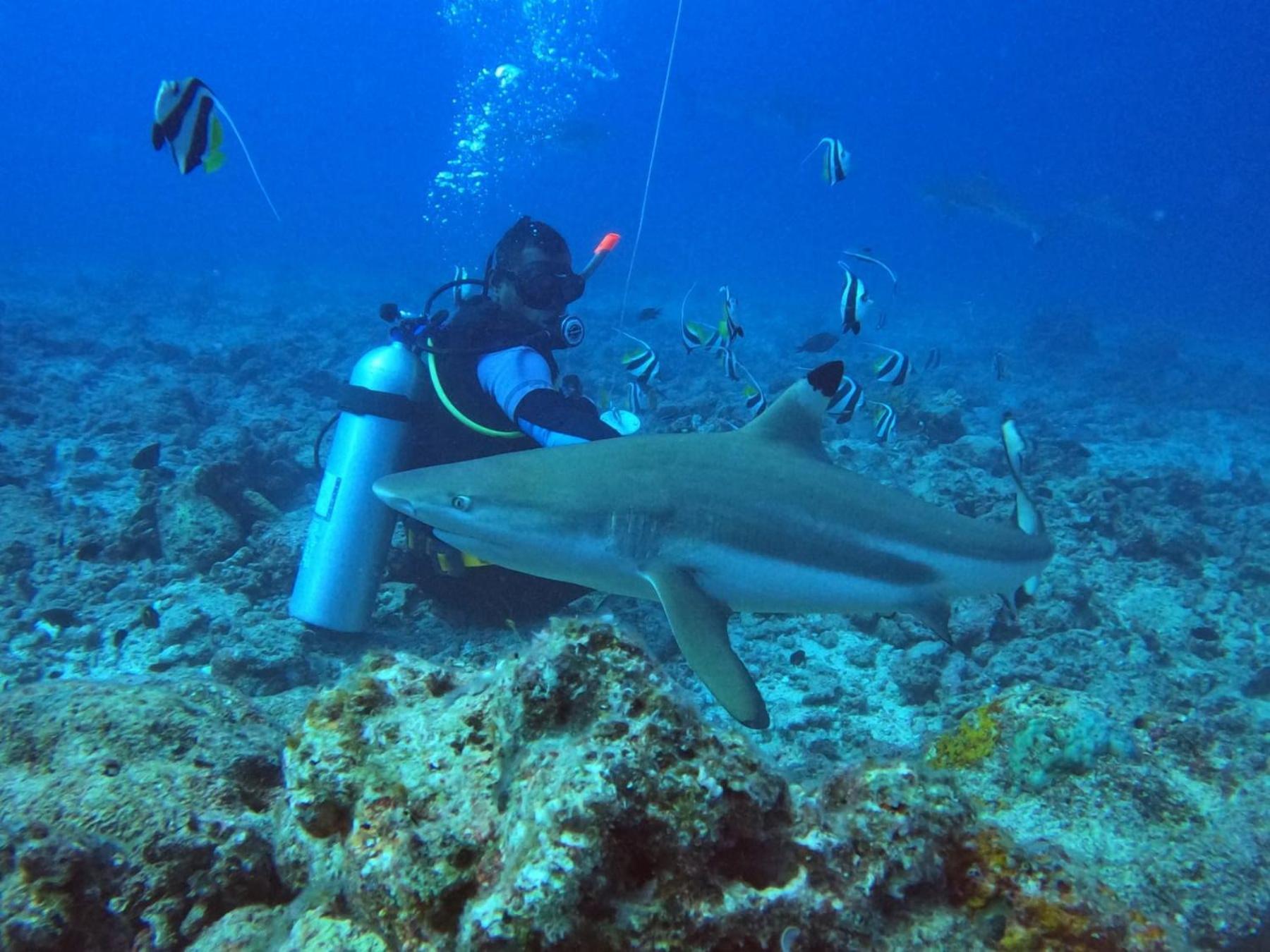 Ratu Kini Dive & Stay Isla Mana Exterior foto